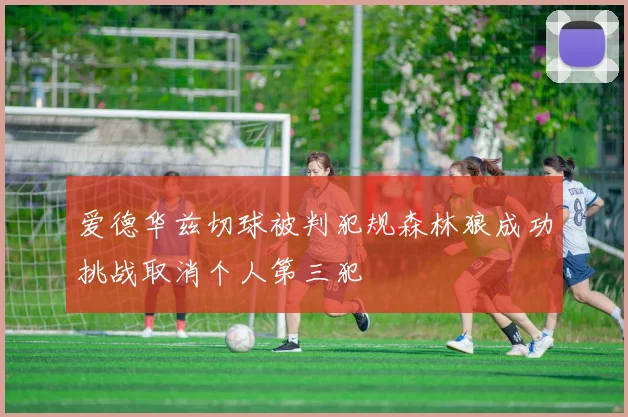 爱德华兹切球被判犯规森林狼成功挑战取消个人第三犯