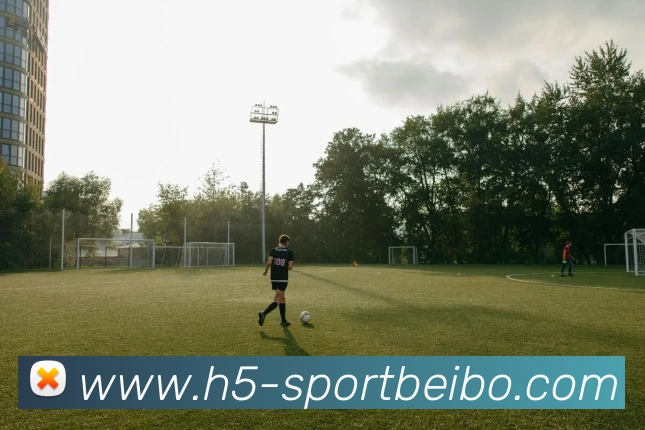 贝博体育服务体系